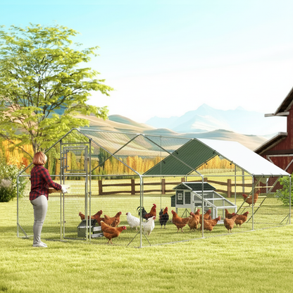 Walk-In Metal Chicken Run, 9.8 x 19.7 x 6.4 ft, Silver
