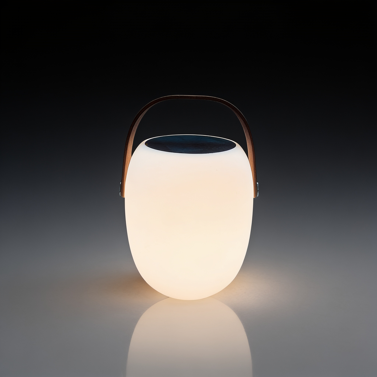 Portable Solar Lantern for Patio and Garden, IP65, Small or Large